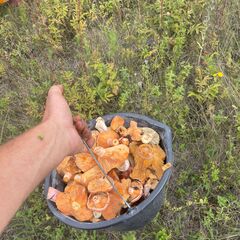 Загородный дом Новый Буян, Самарская область