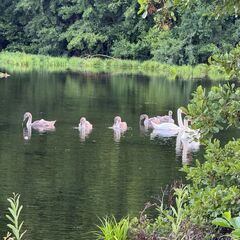 Загородный дом Новый Буян, Самарская область