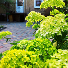 Дом с двумя спальнями в центре Пятигорска, Ставропольский край