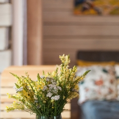 Гостевой дом Домик в Коксе, Республика Алтай