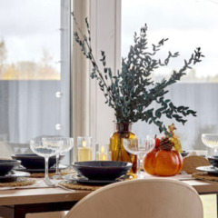 Дом ЕлкиШале с банным чаном, Московская область