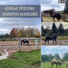 Дом ЕлкиШале с банным чаном, Московская область