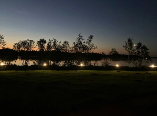 Лещ — фото 5