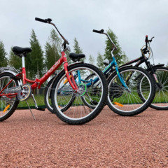 Гостевой дом Лещ, Ленинградская область