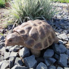 Гостевой дом У Пруда, Краснодарский край