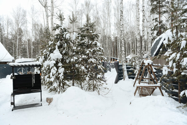 13 Берёз — фото 3