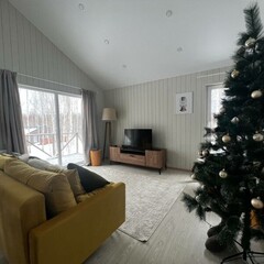 Дом FlatPoint Солнечный, Московская область