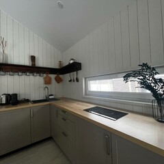 Дом FlatPoint Солнечный, Московская область