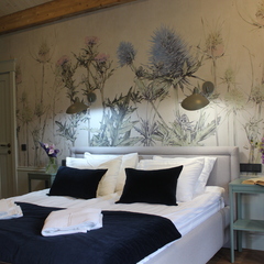 Эко-отель Someroya, Республика Карелия