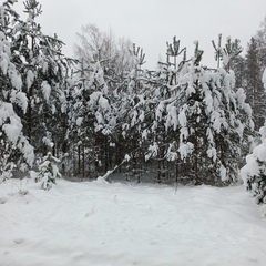 Гостевой дом Дом в краю озёр, Московская область