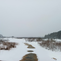 Гостевой дом Дом в краю озёр, Московская область