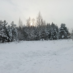 Гостевой дом Дом в краю озёр, Московская область