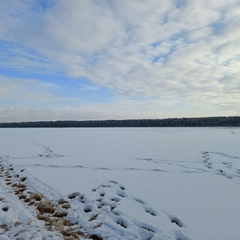 Гостевой дом Дом в краю озёр, Московская область