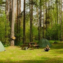 База отдыха Каменецкие купели, Тверская область