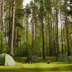 База отдыха Каменецкие купели, Тверская область