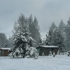 База отдыха Каменецкие купели, Тверская область