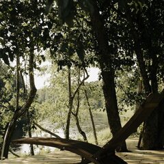 База отдыха Каменецкие купели, Тверская область