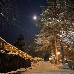 База отдыха Forest, Кемеровская область