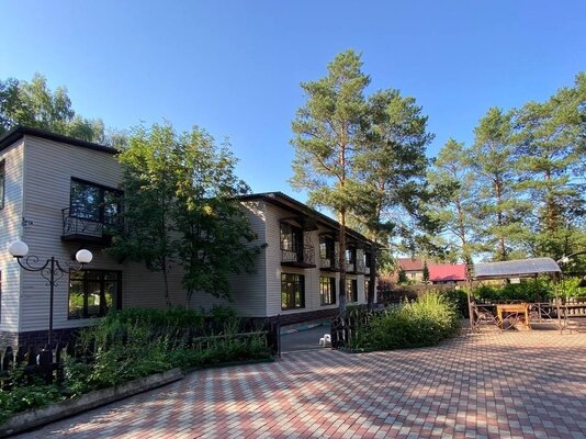 Forest — фото 4