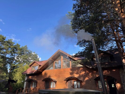 Forest — фото 3