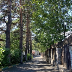 База отдыха Forest, Кемеровская область