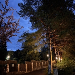 База отдыха Forest, Кемеровская область