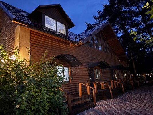 Forest — фото 5