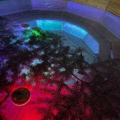 База отдыха Forest, Кемеровская область