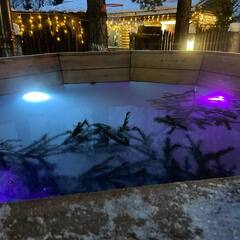 База отдыха Forest, Кемеровская область