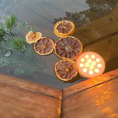 База отдыха Forest, Кемеровская область