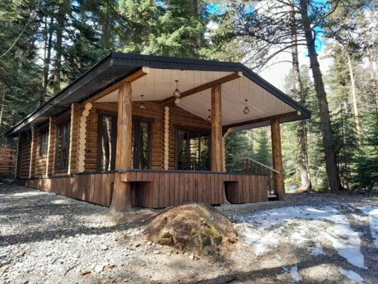 Пихта-парк — фото 2