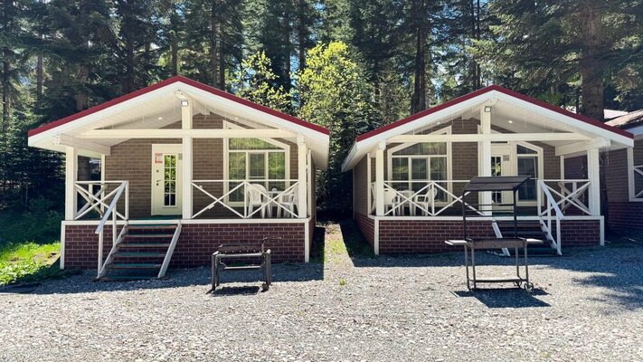 Пихта-парк — фото 1