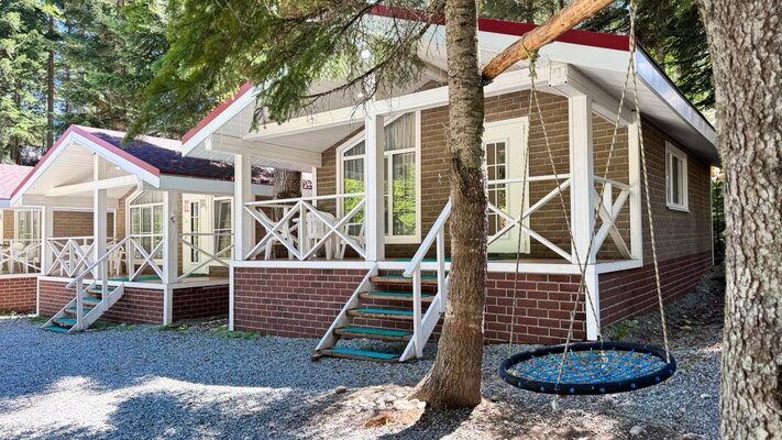 Пихта-парк — фото 5