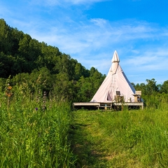 Глэмпинг СтреКоза, Новосибирская область