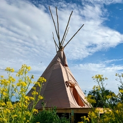 Глэмпинг СтреКоза, Новосибирская область