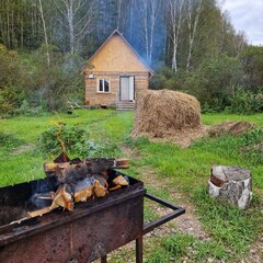 Глэмпинг СтреКоза, Новосибирская область