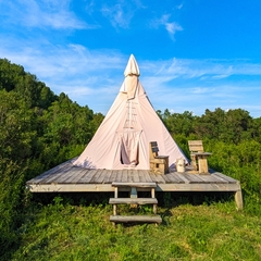 Глэмпинг СтреКоза, Новосибирская область