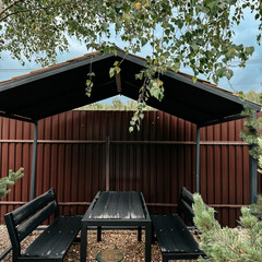 База отдыха Barkwood, Московская область