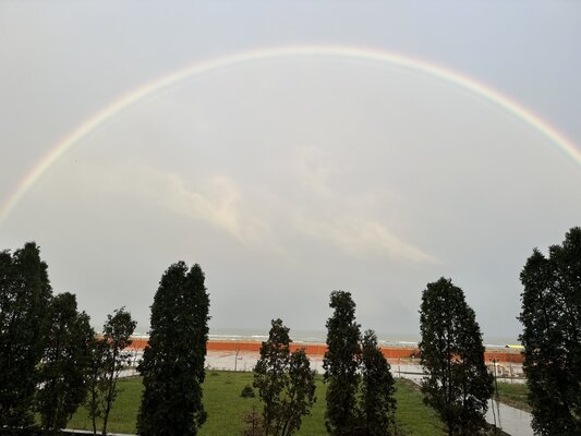 Ника — фото 5