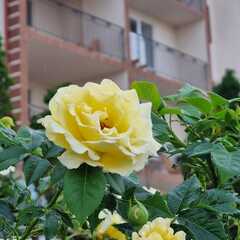 Отель Ника, Республика Дагестан