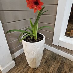 Гостевой дом СвирЕль, Ленинградская область