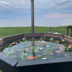 База отдыха База отдыха КамИнн, Татарстан