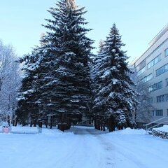 Санаторий Вернер, Ессентуки, Ставропольский край