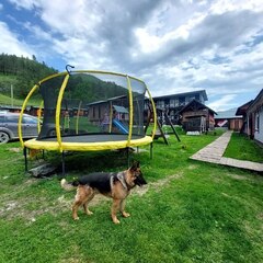 Дом в аренду АК-ТАЛАЙ ТУР, Республика Алтай