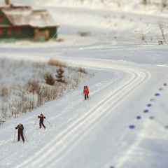 Центр отдыха Демино, Рыбинский район, Ярославская область