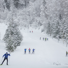 Центр отдыха Демино, Рыбинский район, Ярославская область