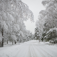 Центр отдыха Демино, Рыбинский район, Ярославская область