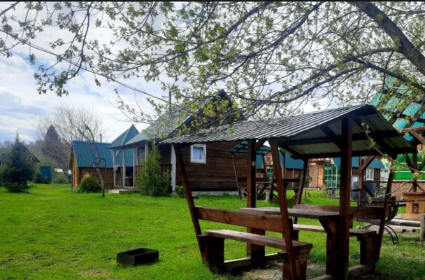 Три клена — фото 1