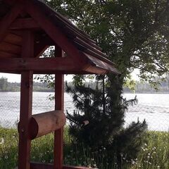 База отдыха Три клена, Алтайский район, Алтайский край