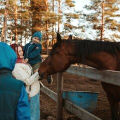 Дом Сказка на берегу Селигера, Тверская область